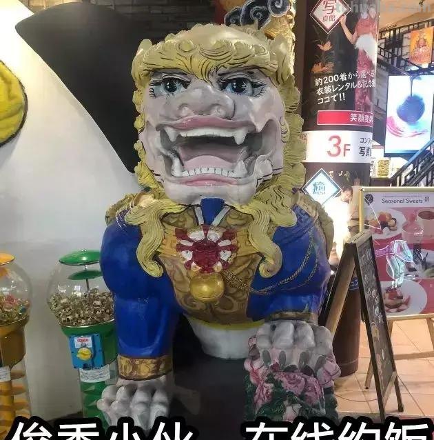 每一头移民中国的非洲雄狮，都无法逃脱“鬼畜卷毛狗定律”