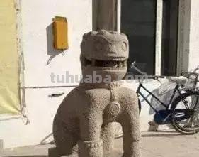 每一头移民中国的非洲雄狮，都无法逃脱“鬼畜卷毛狗定律”