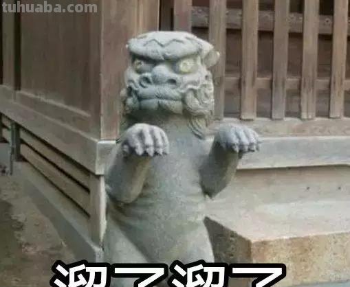 每一头移民中国的非洲雄狮，都无法逃脱“鬼畜卷毛狗定律”