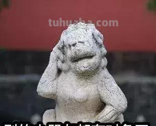 每一头移民中国的非洲雄狮，都无法逃脱“鬼畜卷毛狗定律”