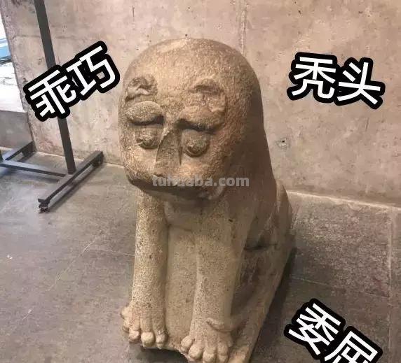 每一头移民中国的非洲雄狮，都无法逃脱“鬼畜卷毛狗定律”