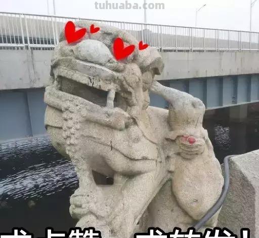 每一头移民中国的非洲雄狮，都无法逃脱“鬼畜卷毛狗定律”