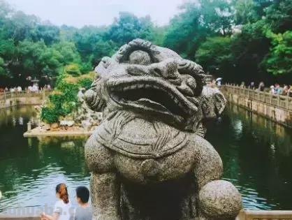 每一头移民中国的非洲雄狮，都无法逃脱“鬼畜卷毛狗定律”