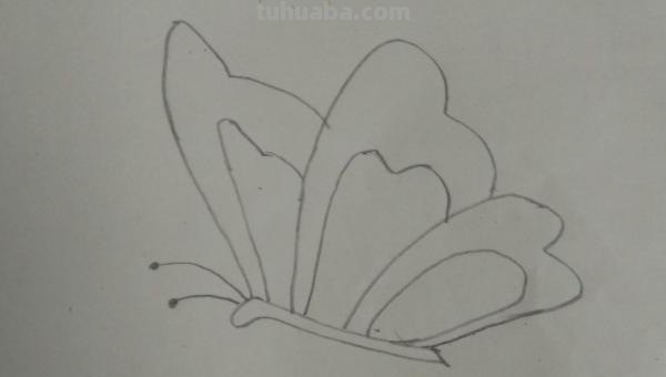 怎么画蝴蝶简笔画 如何简笔画一只漂亮的蝴蝶? 怎么画蝴蝶简笔画 如何简笔画一只漂亮的蝴蝶?