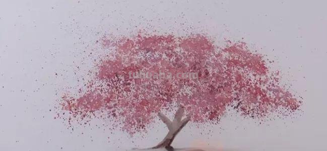 这么详细的水彩教程，当然要分享给你们了