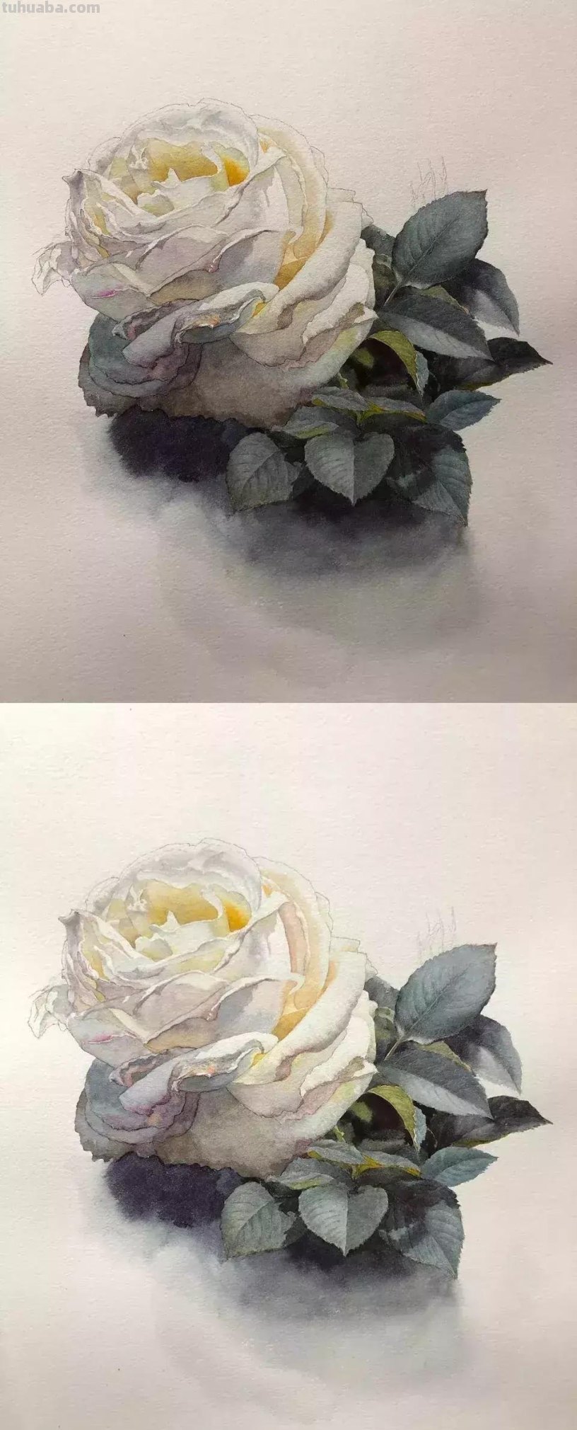 零基础喜欢的水彩小教程，快来围观学习！