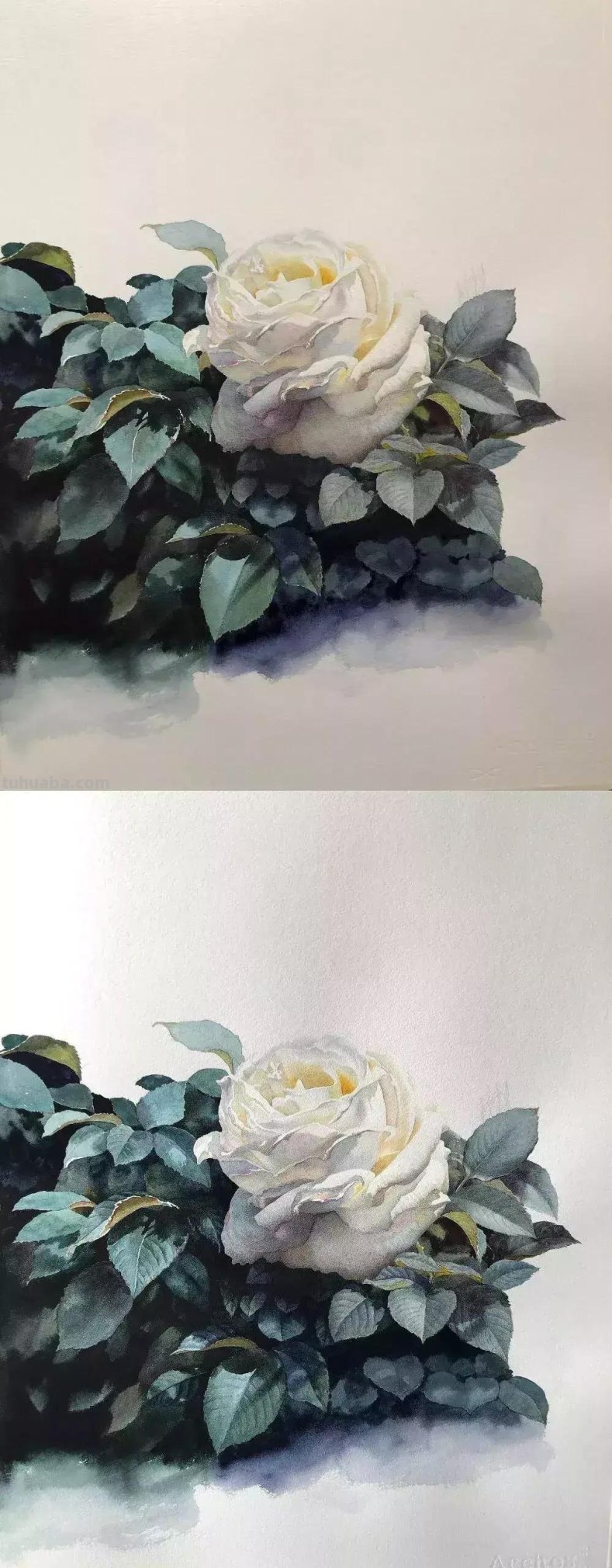 零基础喜欢的水彩小教程，快来围观学习！
