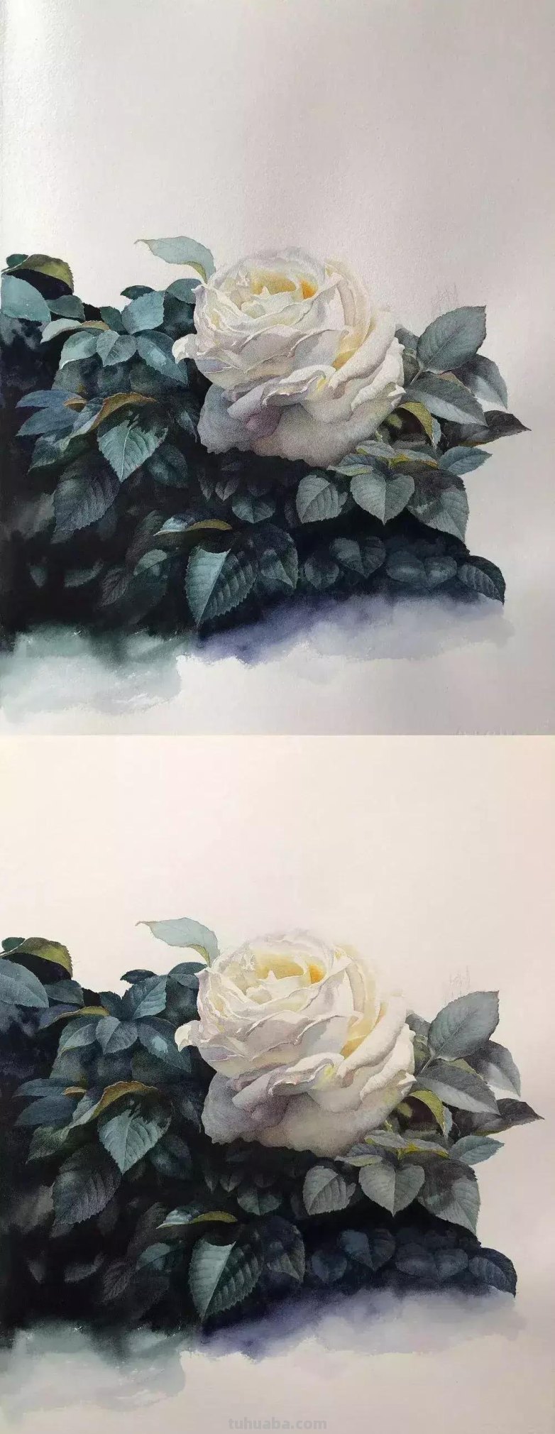 零基础喜欢的水彩小教程，快来围观学习！