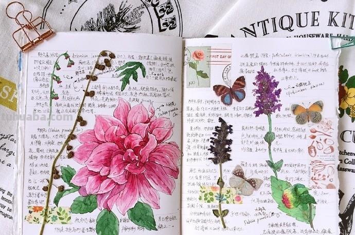 美丽的水彩手账,每一个小确幸,都值得记录,手账素材很丰富 美丽的水彩手账,每一个小确幸,都值得记录,手账素材很丰富