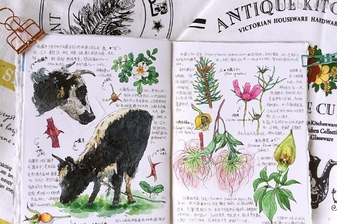 美丽的水彩手账,每一个小确幸,都值得记录,手账素材很丰富 美丽的水彩手账,每一个小确幸,都值得记录,手账素材很丰富