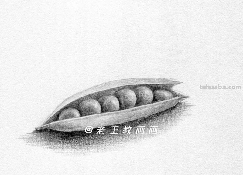 老王手把手教你画素描