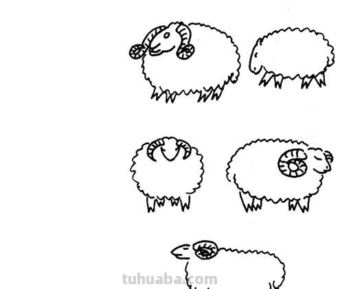 羊怎么画