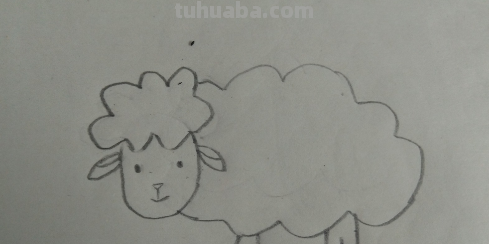 羊怎么画