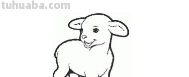 羊怎么画