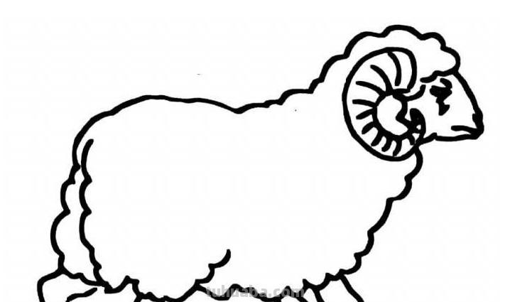 羊怎么画