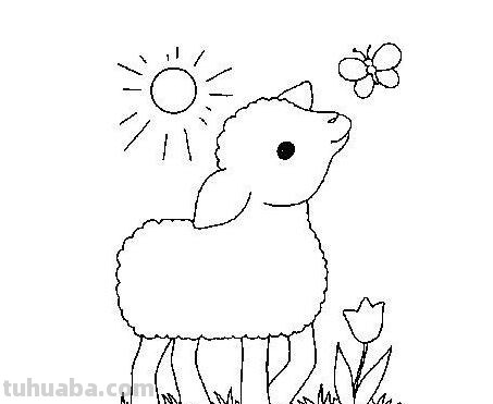 羊怎么画