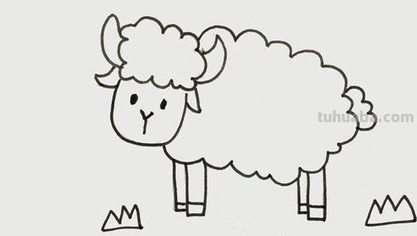 如何画一只可爱的小羊