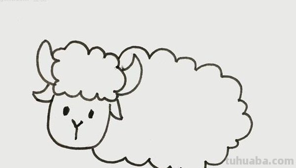如何画一只可爱的小羊