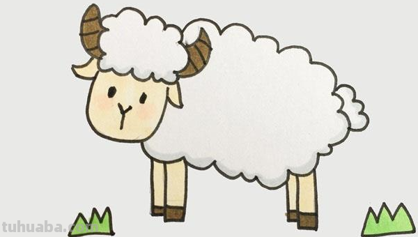 如何画一只可爱的小羊