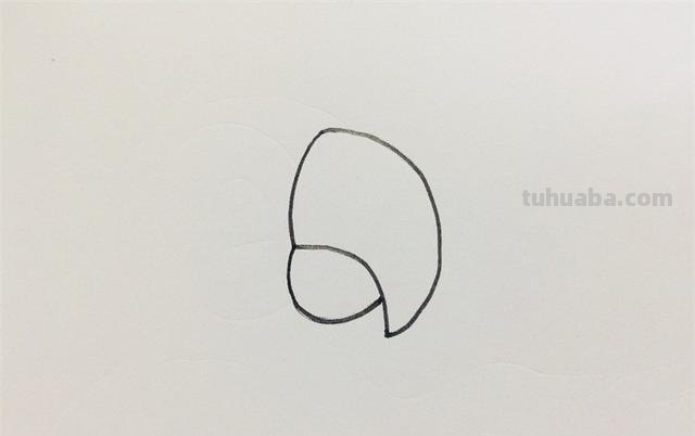 鹦鹉怎么画 彩铅色 怎么画鹦鹉——卡通鹦鹉简笔画？