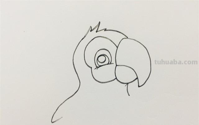 鹦鹉怎么画 彩铅色 怎么画鹦鹉——卡通鹦鹉简笔画？
