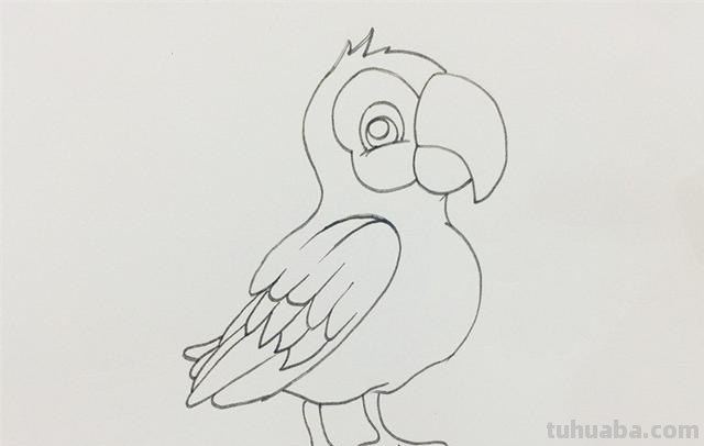 鹦鹉怎么画 彩铅色 怎么画鹦鹉——卡通鹦鹉简笔画？
