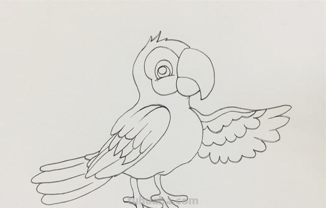 鹦鹉怎么画 彩铅色 怎么画鹦鹉——卡通鹦鹉简笔画？