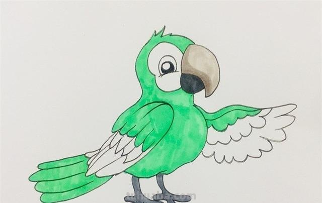 鹦鹉怎么画 彩铅色 怎么画鹦鹉——卡通鹦鹉简笔画？