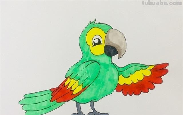 鹦鹉怎么画 彩铅色 怎么画鹦鹉——卡通鹦鹉简笔画？