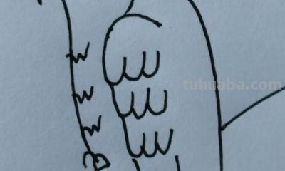 鹦鹉怎么画 彩铅色 怎么画鹦鹉——卡通鹦鹉简笔画？