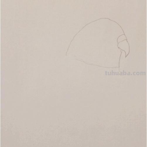 鹦鹉怎么画 彩铅色 怎么画鹦鹉——卡通鹦鹉简笔画？