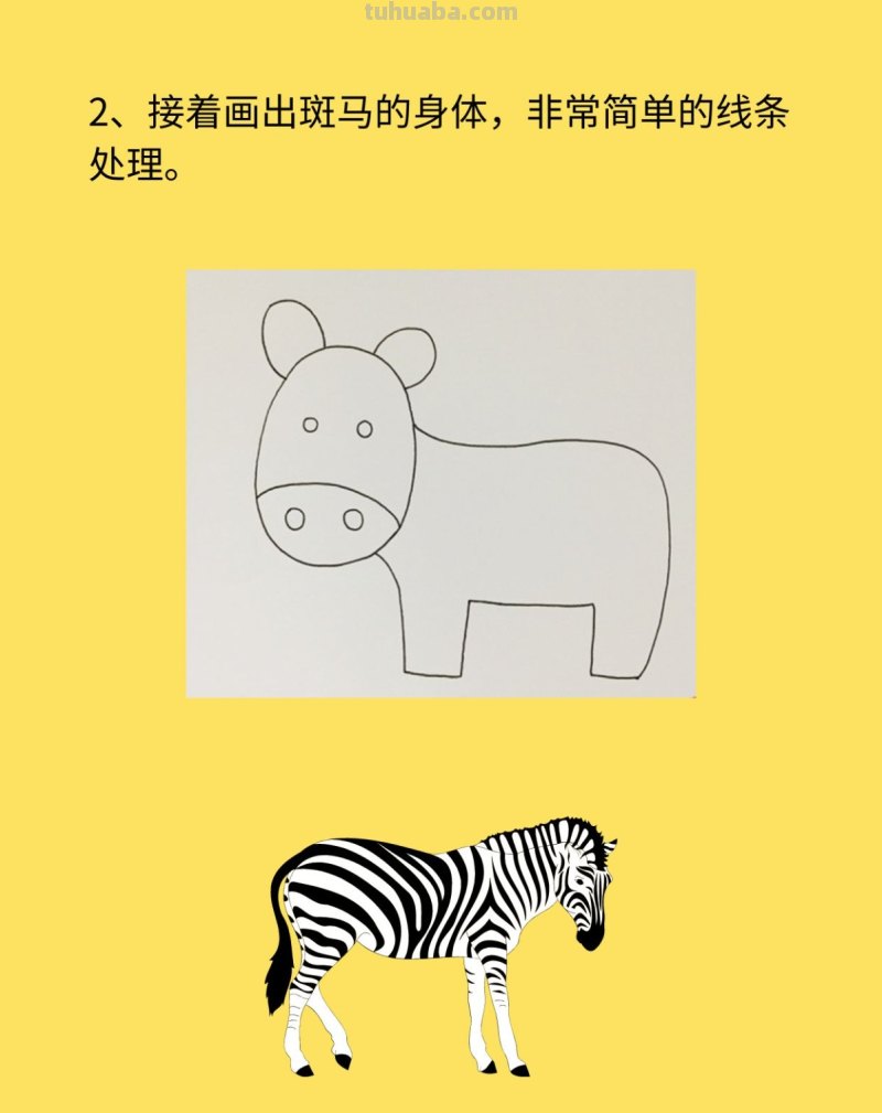 斑马简笔画步骤图