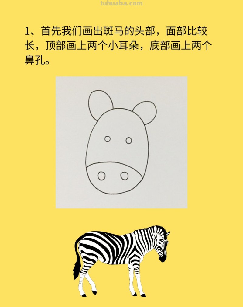 斑马简笔画步骤图
