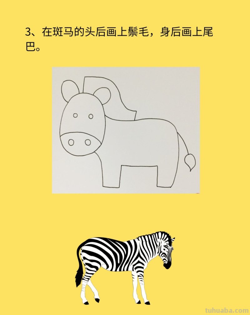 斑马简笔画步骤图
