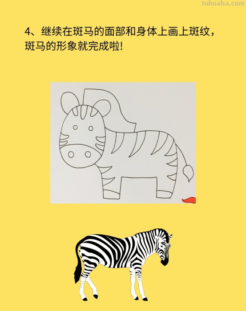 斑马简笔画步骤图