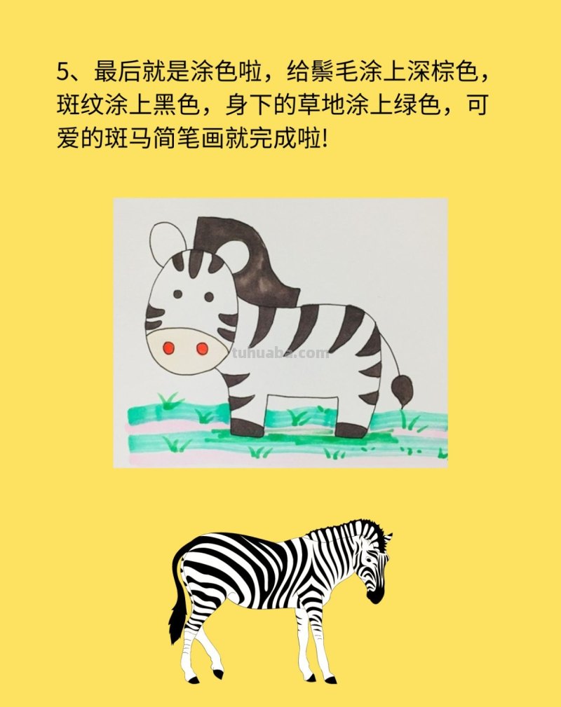 斑马简笔画步骤图