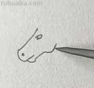 怎样画卡通小马简笔画?