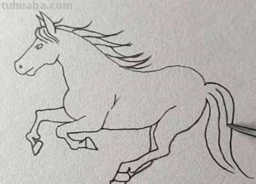 怎样画卡通小马简笔画?