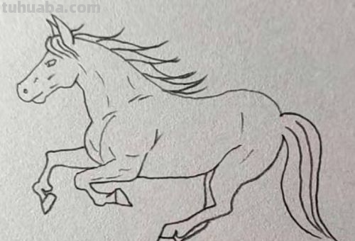 怎样画卡通小马简笔画?