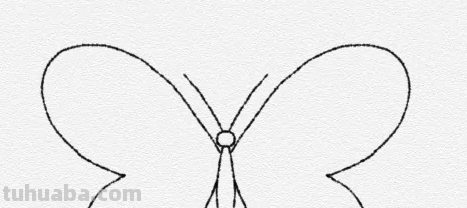 蝴蝶怎么画