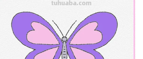 蝴蝶怎么画