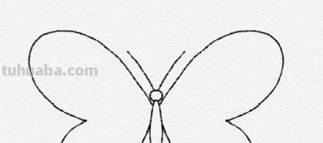 蝴蝶怎么画