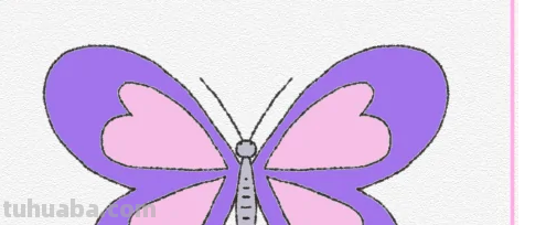 蝴蝶怎么画