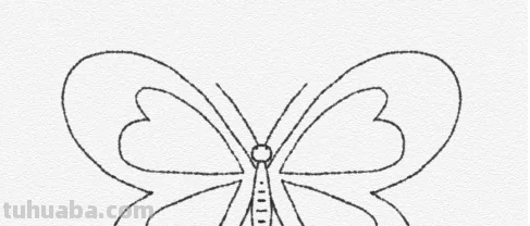 蝴蝶怎么画