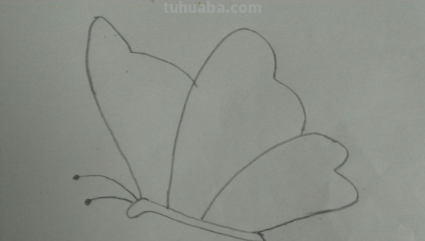 蝴蝶怎么画?