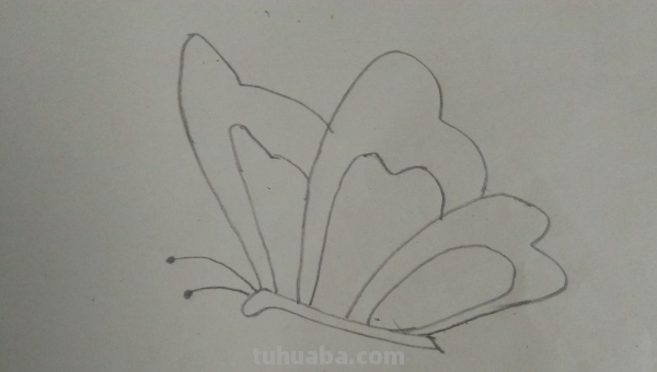 蝴蝶怎么画?