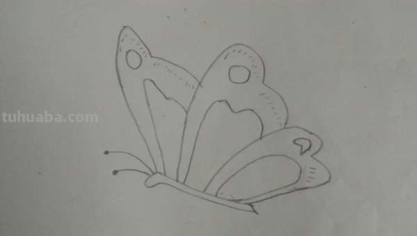 蝴蝶怎么画?