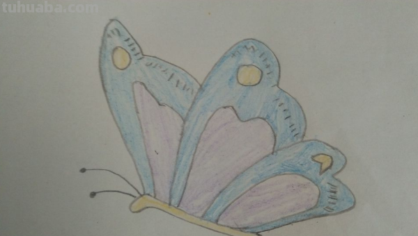 蝴蝶怎么画?