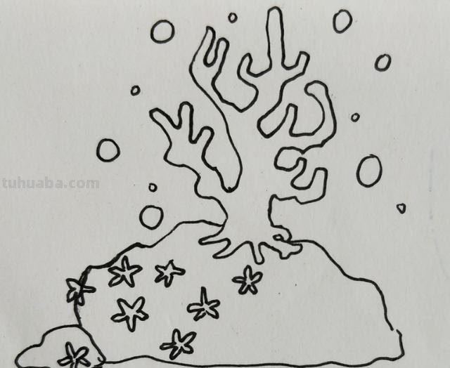 海藻怎么画简笔画 怎么画珊瑚礁的简笔画? 海藻怎么画简笔画 怎么画珊瑚礁的简笔画?
