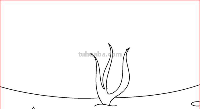 海藻怎么画简笔画 怎么画珊瑚礁的简笔画? 海藻怎么画简笔画 怎么画珊瑚礁的简笔画?